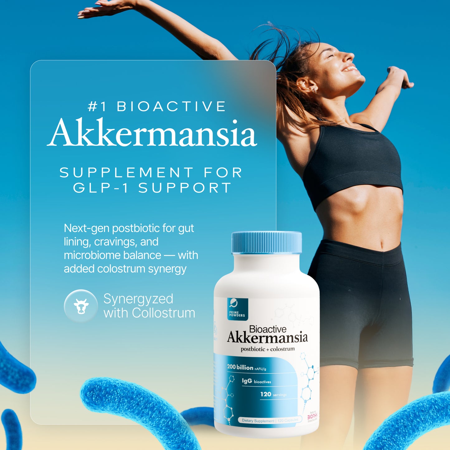 Bioactive Akkermansia